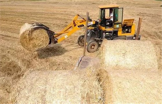 大力士 生物質燃燒機