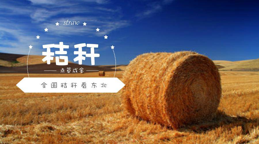 新聞聯(lián)播關(guān)注：東北秸稈該咋辦？（二）
