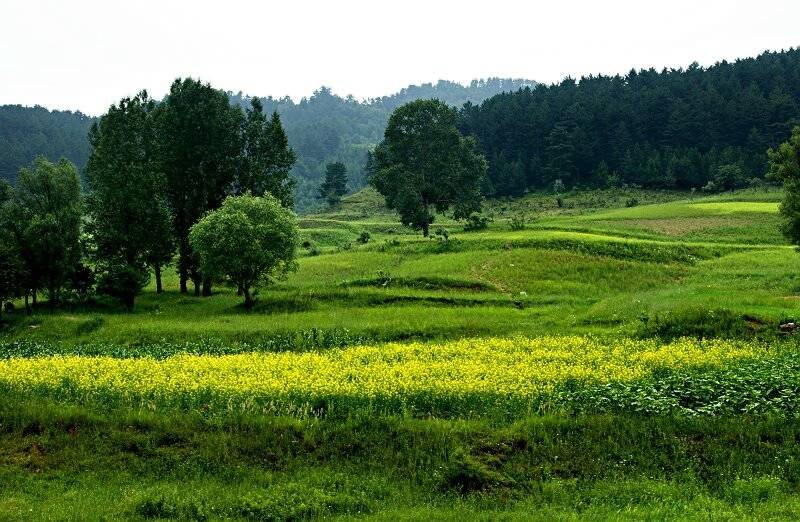六大舉措支撐全球生物燃料產(chǎn)業(yè)化