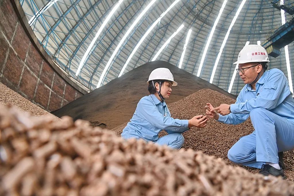 國家發(fā)改委：這類可再生能源電量可納入“全額保障性收購”1