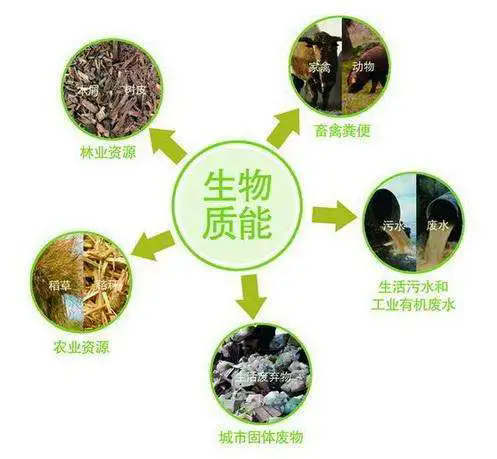 【政策】2000億！陜西將穩(wěn)步拓展生物能源產(chǎn)業(yè)
